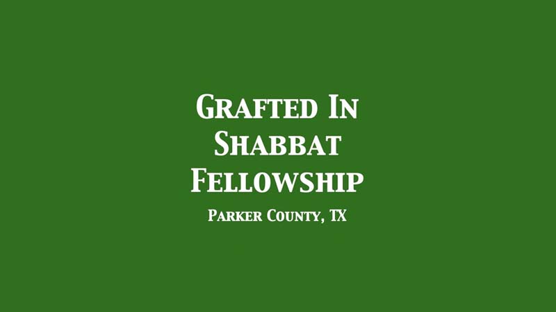 Grafted In Shabbat Fellowship Logo