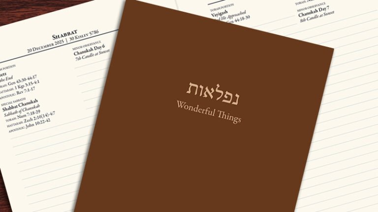 Wonderful Things: A Daily Journal Through The Torah (2025-2026)