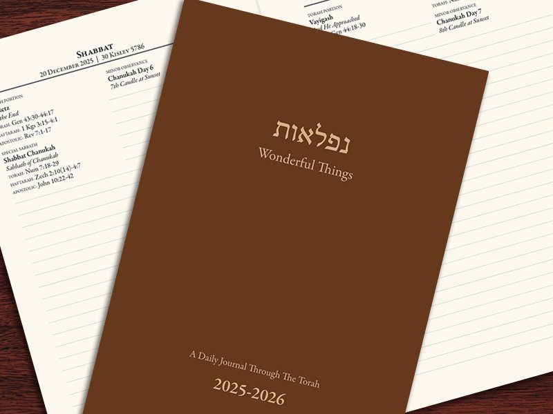 Wonderful Things: A Daily Journal Through The Torah (2025-2026)